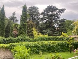 appartamento-in-affitto-locazione---bolzano-2